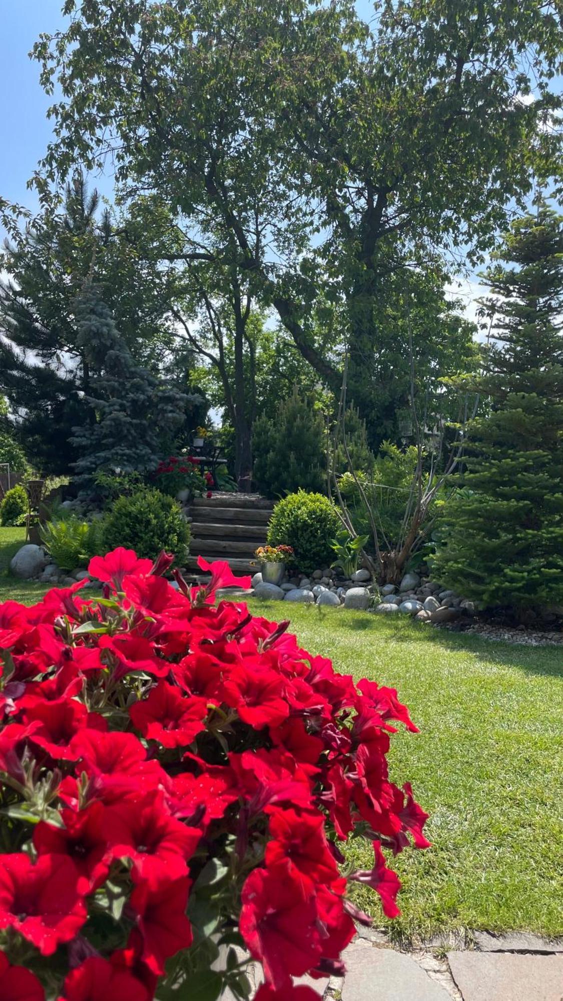 Wellness Penzion Vila Mery Попрад Екстериор снимка